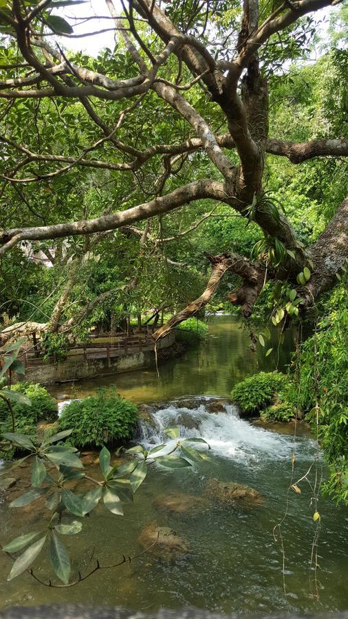 Khao Nam Fah Resort Pak Chong Exteriör bild